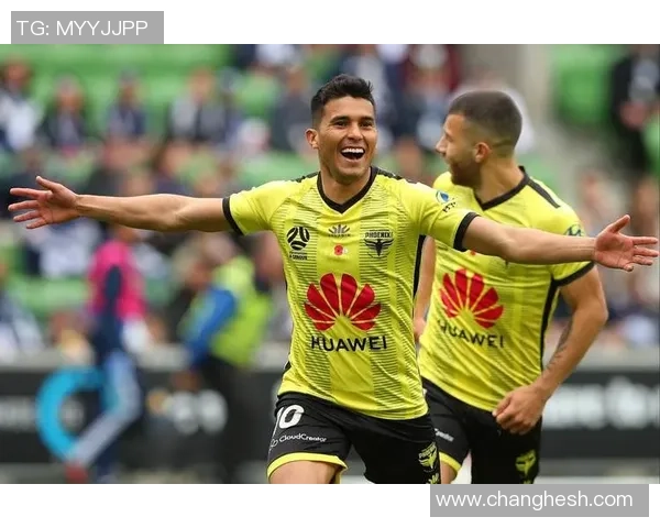 2019年布里斯狮与惠灵顿精彩对决回顾与分析