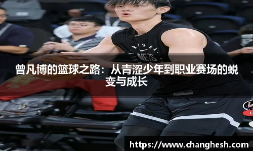 K1体育手机网页版登录